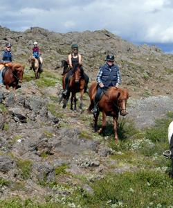 Iceland Horse Riding