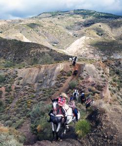 Andalusia Horse Riding