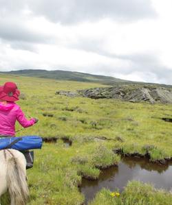 China Horse Riding