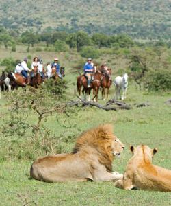 Kenya Riding Safari