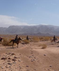 Jordan Horse Riding