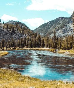 The national park view