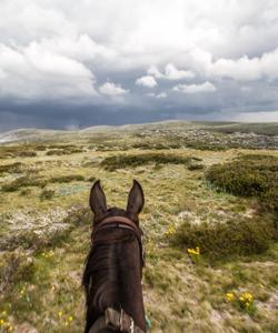 Australia Riding