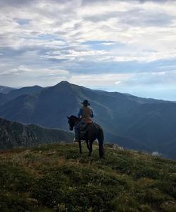 Australia Riding