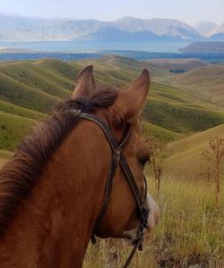 Kyrgyzstan Riding