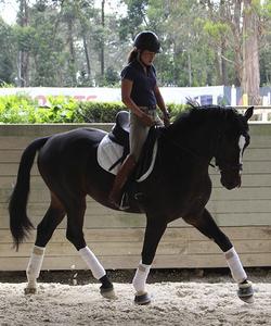 Portugal Dressage