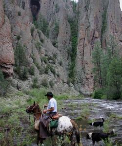 New Mexico Riding