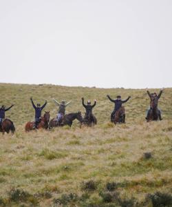 Riders on top their horses 