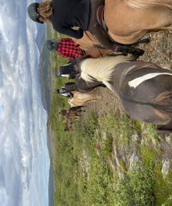 Iceland Horse Riding