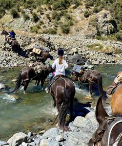 New Zealand rivers