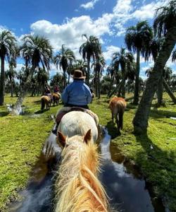 Uruguay Horse Riding