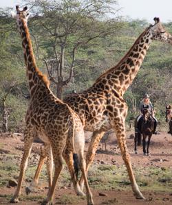 Kenya Riding