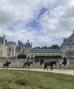 Horse riding in France