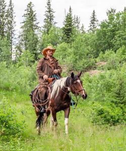 Rider atop a horse 