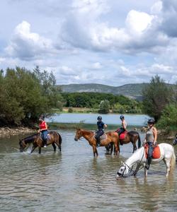 Bosnia Horse Riding