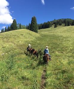 USA Horse Trekking