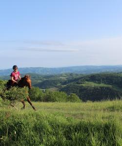 Serbia Horseriding