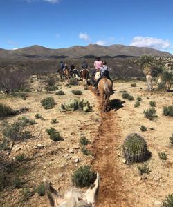 Arizona Horseriding