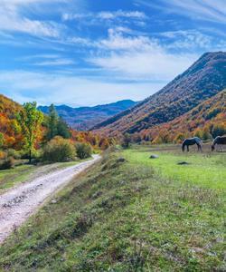 Abruzzo Hational Park