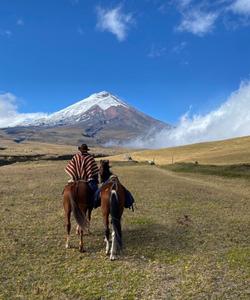 Ecuador Riding