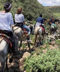 Ethiopia Riding