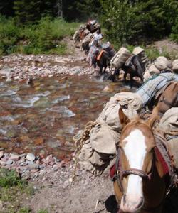 Crossing the river 