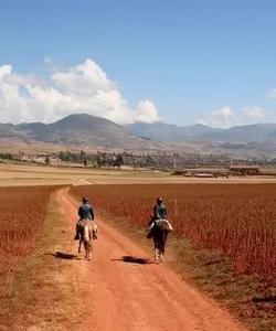 Peru Riding