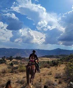 Peru Riding