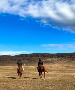 Georgia Horse Riding