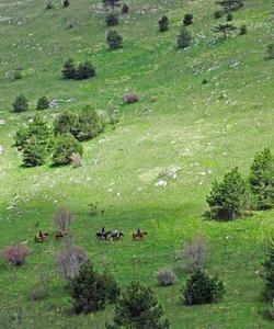 Slovenia Riding