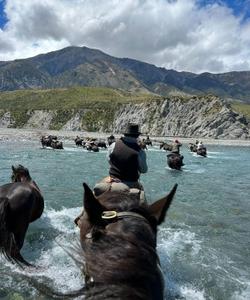 Horse riding in New Zealand