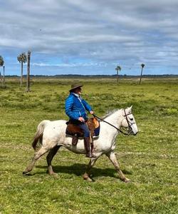 Uruguay Horse Riding