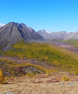 Mongolia Nature