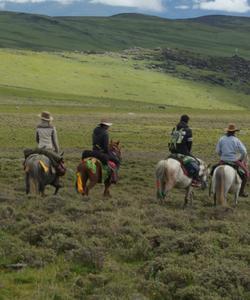 China Horse Riding