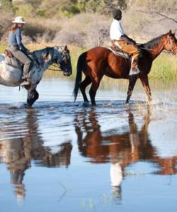 Botswana Riding