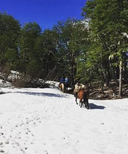 Chile to Argentina Riding