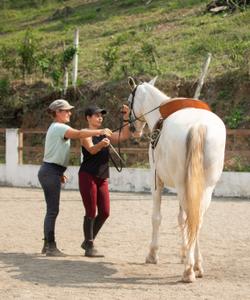 Costa Rica Riding