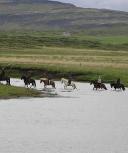 Iceland Horse Riding