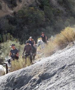 Andalusia Horse Riding