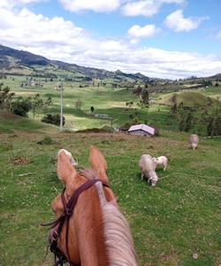 Ecuador Horse Riding