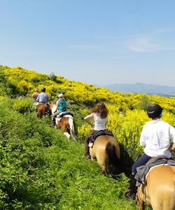 Ride in a field