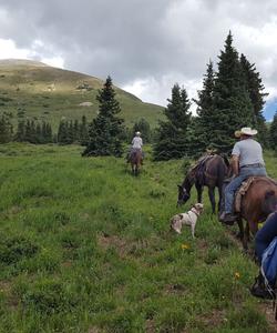 USA Horse Trekking