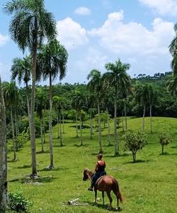 Dominican Riding