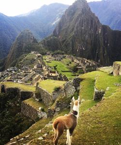 Peru Travel