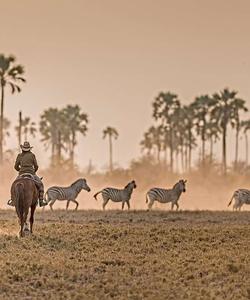 Botswana Riding