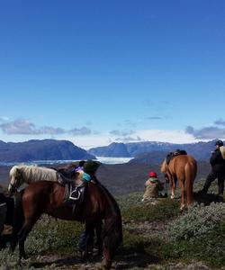 Greenland Horse Riding