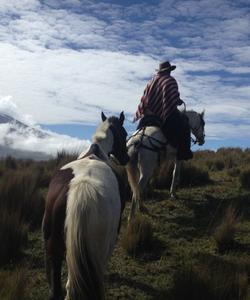 Ecuador Riding