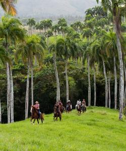 Dominican Riding