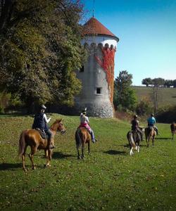 Slovenia Horseriding