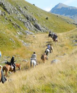 Horse riding trail in Europe